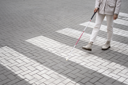 Persoanele cu dizabilități în Republica Moldova în anul 2022
